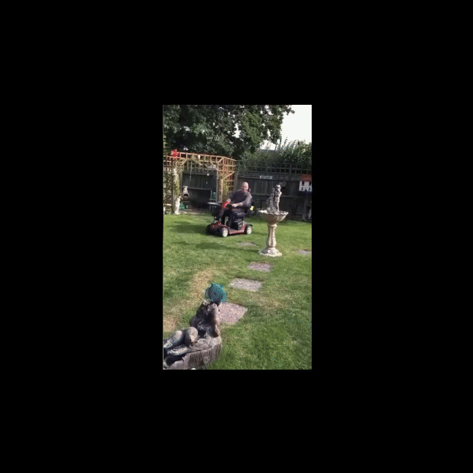 Example Stimulus Video